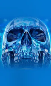 Crystal Skull